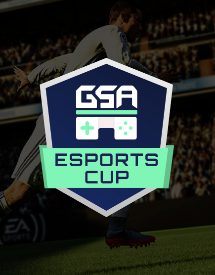 كأس الرياضات الإلكترونية كأس الهيئة العامة